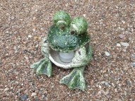 FROG - candlestick